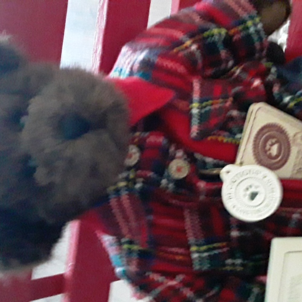 Jacob Wishkabibble / Boyd's  Bear